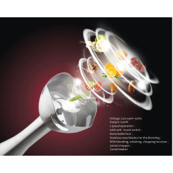 Hand Blender - DSP 200W
